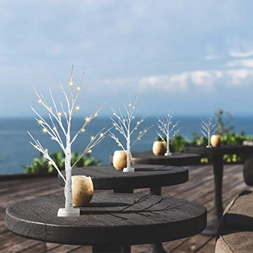 Eambrite Set of 2 Small Birch Twig Tree Lights Photo Display Tree with 24 Warm White LEDs Battery Operated Tabletop Decoration for Xmas Home Party Wedding (60cm/2ft)