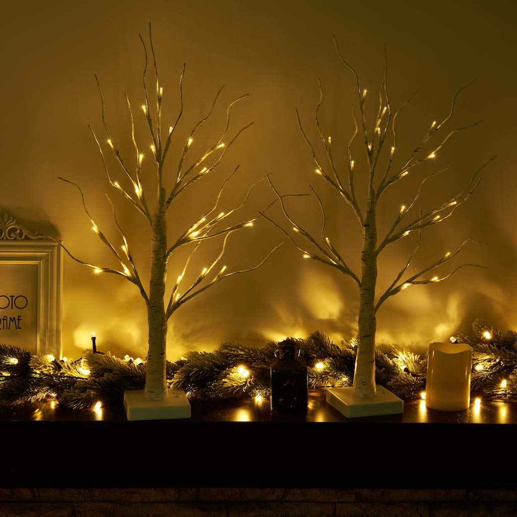 Eambrite Set of 2 Small Birch Twig Tree Lights Photo Display Tree with 24 Warm White LEDs Battery Operated Tabletop Decoration for Xmas Home Party Wedding (60cm/2ft)