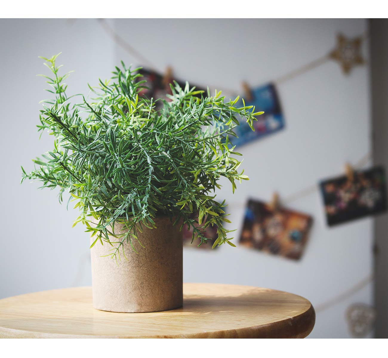 ilauke Set of 3 Mini Potted Artificial Plants Plastic Eucalyptus Plants Faux Rosemary Plants for Home Garden Office Desk Shower Room Decoration