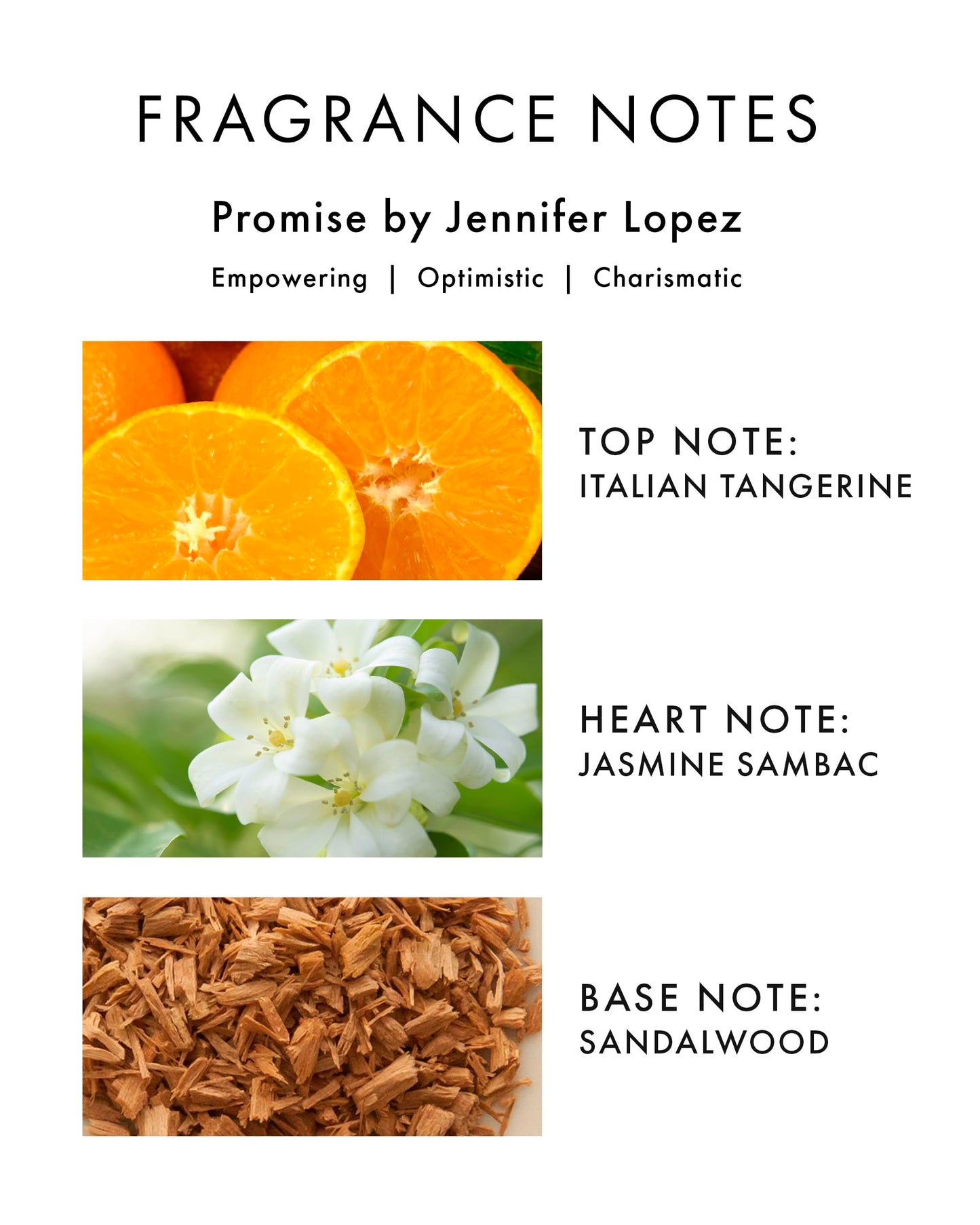 Jennifer Lopez Promise Eau De Parfum Spray, 50ml Fine Fragrance from an Approved Stockist